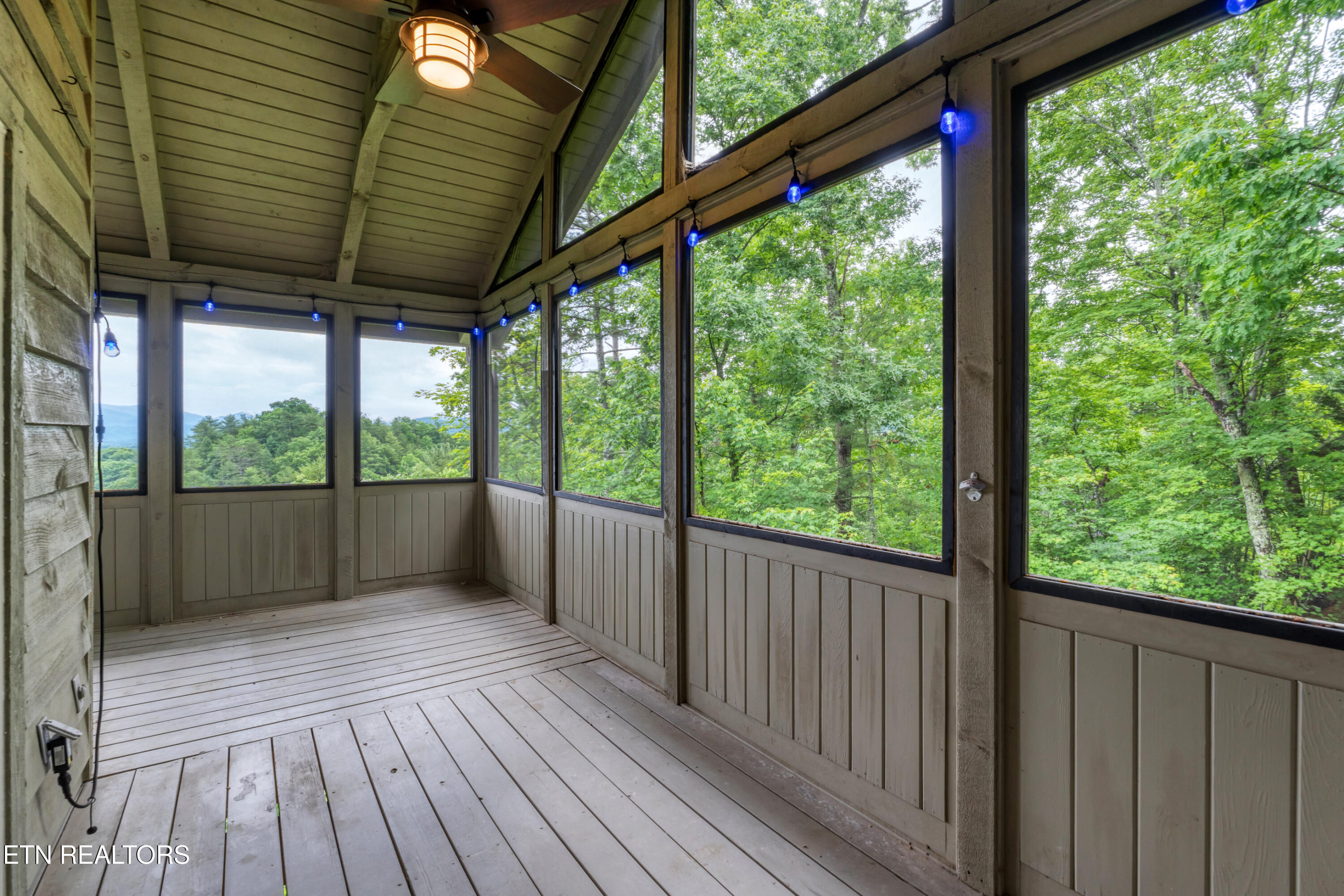 620 Hawk View Drive Townsend, TN 37882 - Photo 40 of 48 DSC04959_2-2