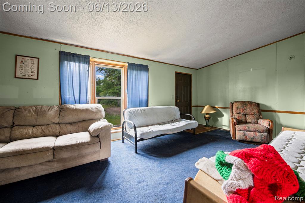 51105 Arkona Road Belleville, MI 48111 - Photo 15 of 32