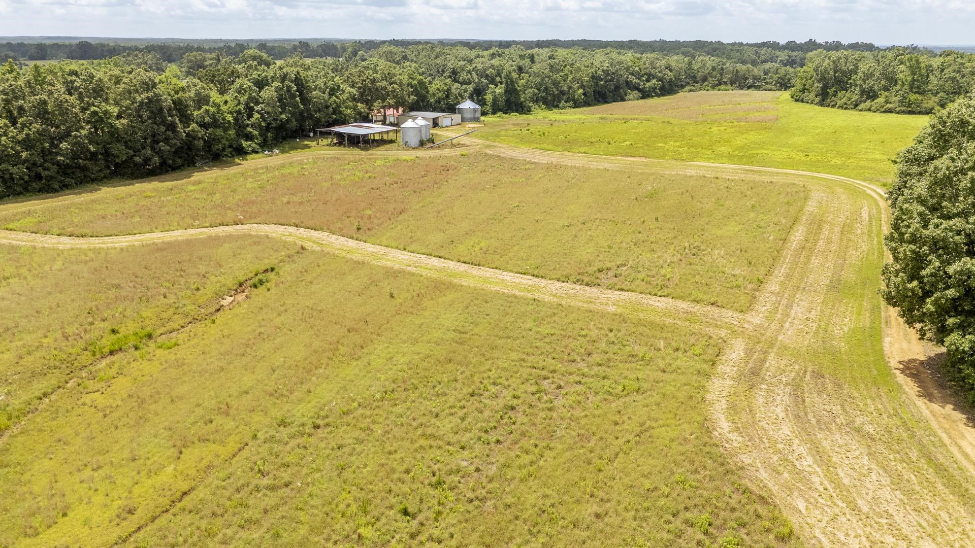 10157 Clifton Road Savannah, TN 38372 - Photo 31 of 40