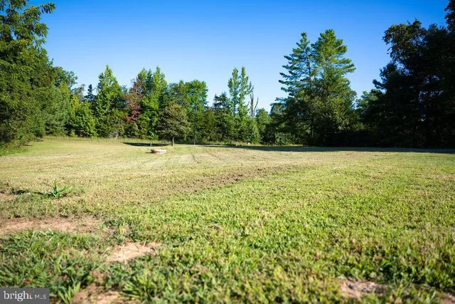 a view of a large yard with large trees