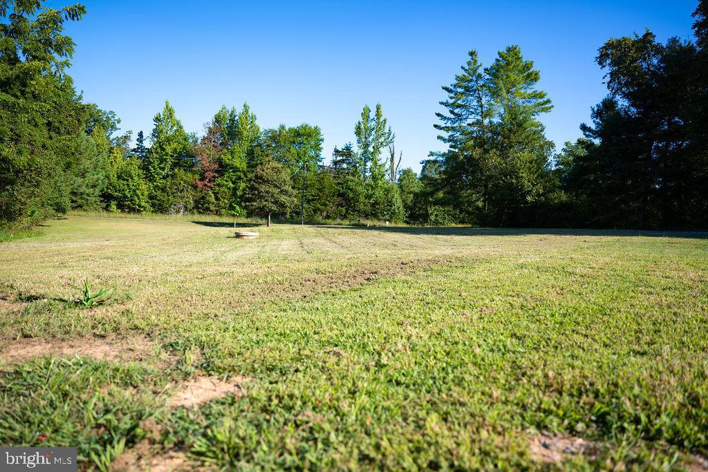 100 Bumpass Road Bumpass, VA 23024 - Photo 16 of 16 a view of a large yard with large trees