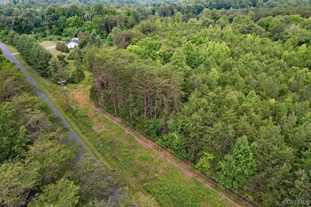 0 Pin Oak Road Pamplin, VA 23958 - Photo 3 of 19 a view of a forest with a houses