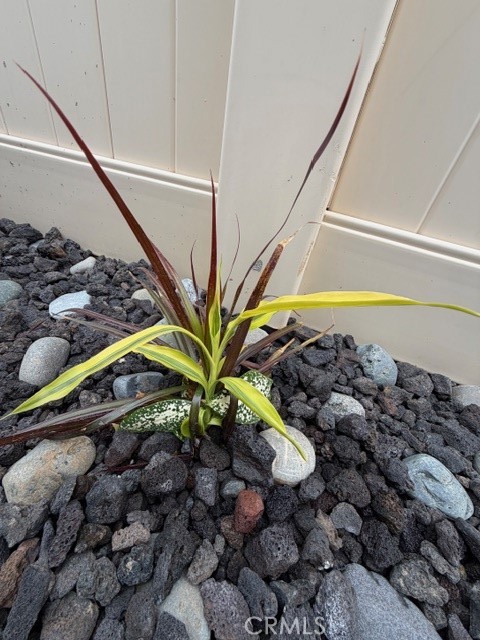 7664 Steamboat Street Riverside, CA 92507 - Photo 27 of 61