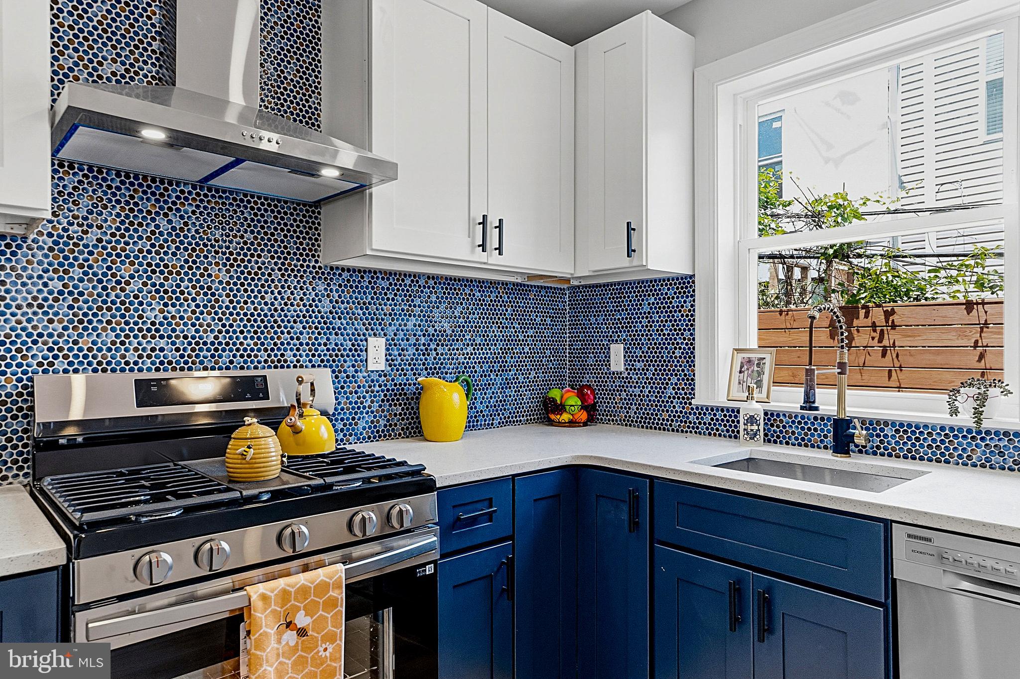 2319 Cross Street Philadelphia, PA 19146 - Photo 9 of 28 Gorgeous backsplash