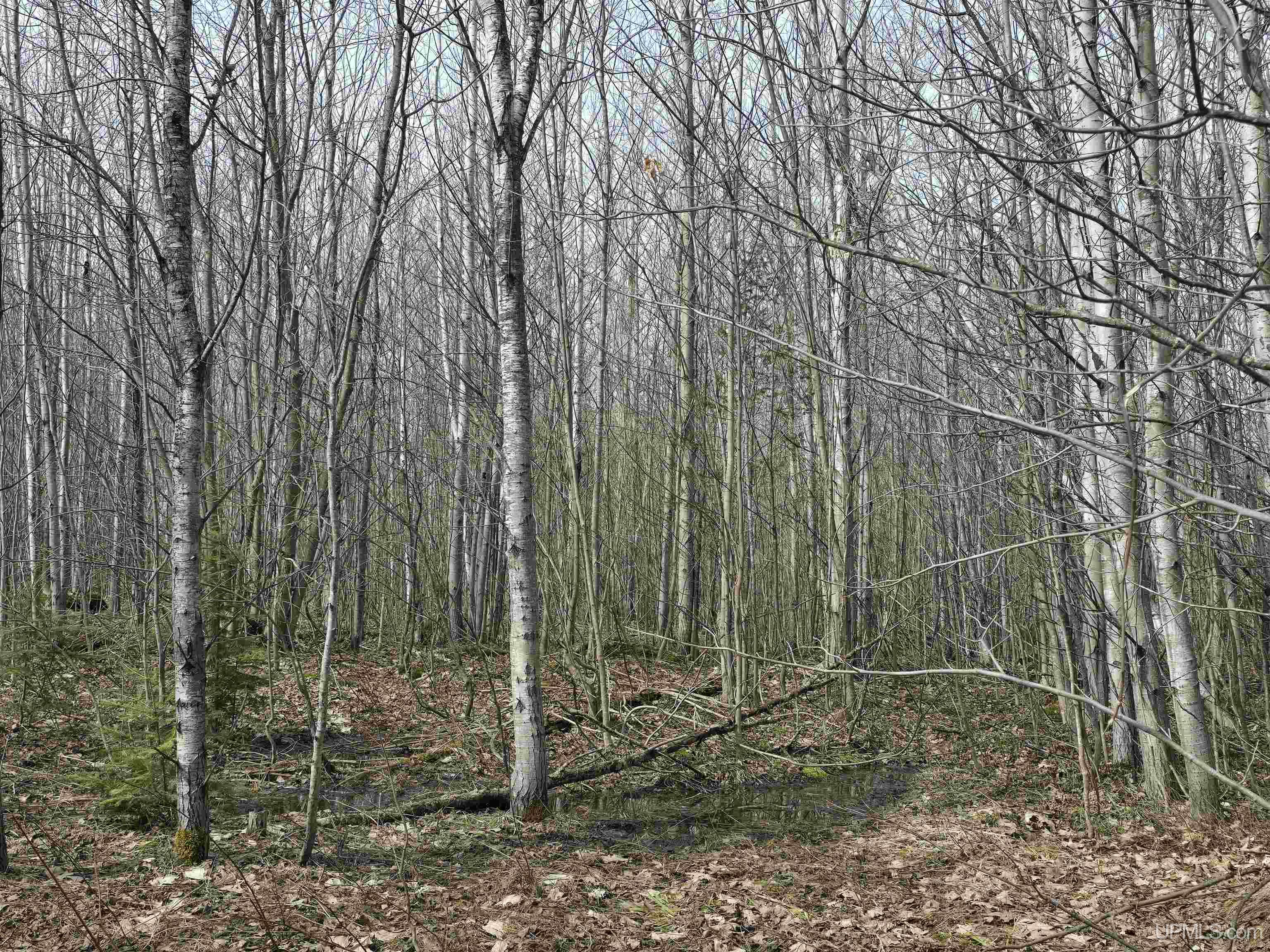 Tbd Woodspur Road Ontonagon, MI 49953 - Photo 27 of 46