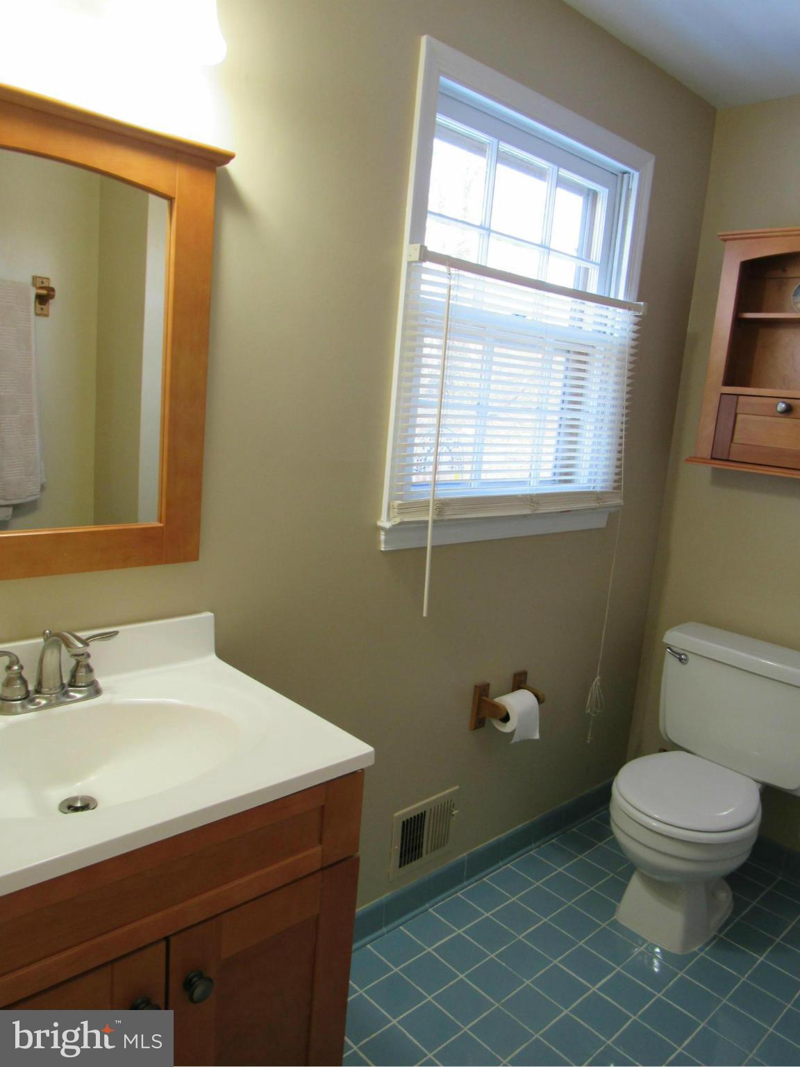 10107 Day Avenue Silver Spring, MD 20910 - Photo 13 of 30 Bath (Master)