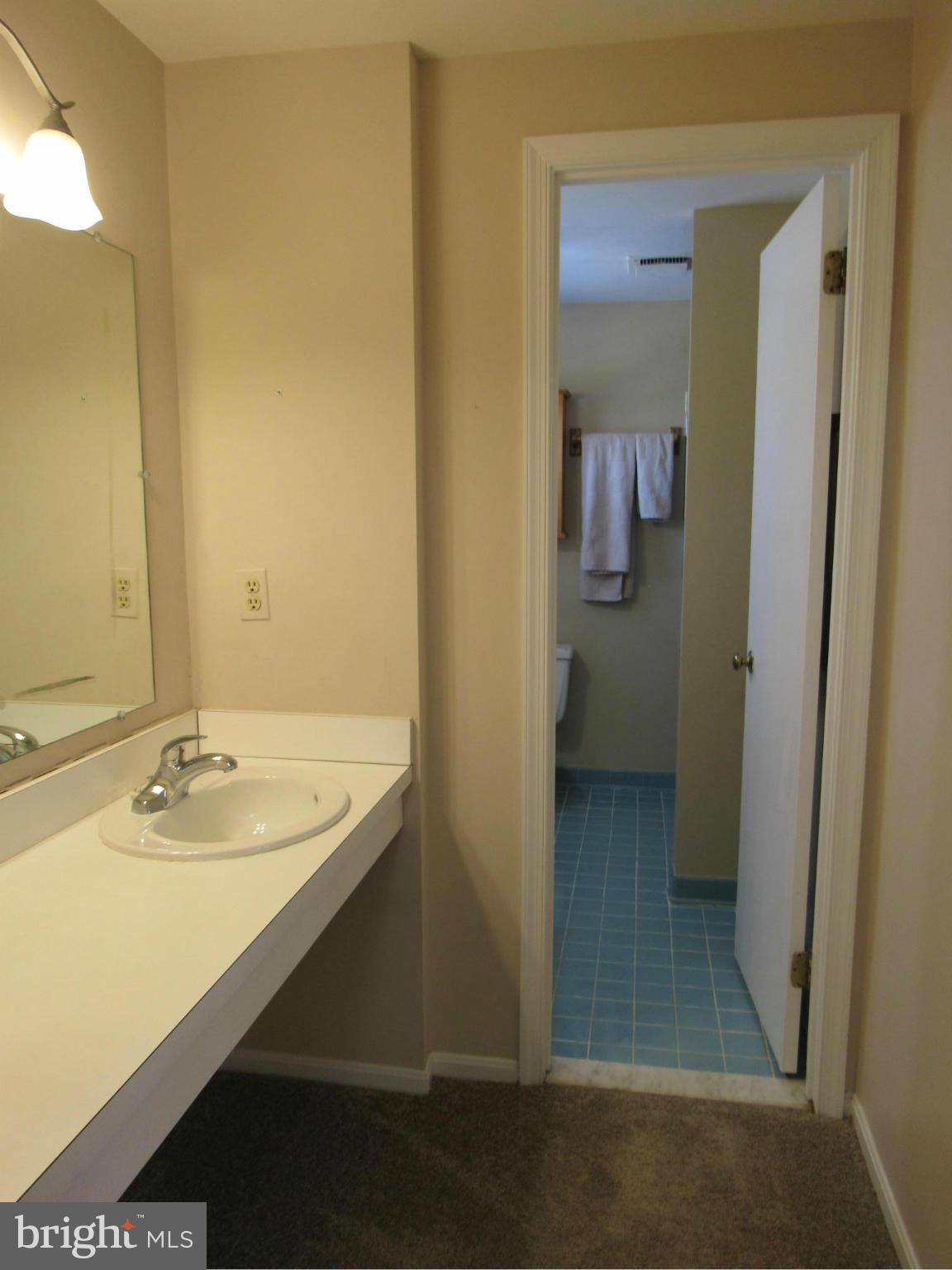 10107 Day Avenue Silver Spring, MD 20910 - Photo 14 of 30 Bath (Master)