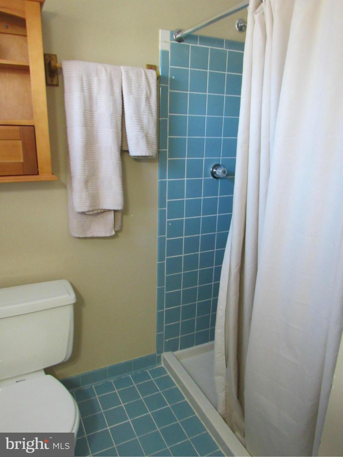 10107 Day Avenue Silver Spring, MD 20910 - Photo 15 of 30 Bath (Master)