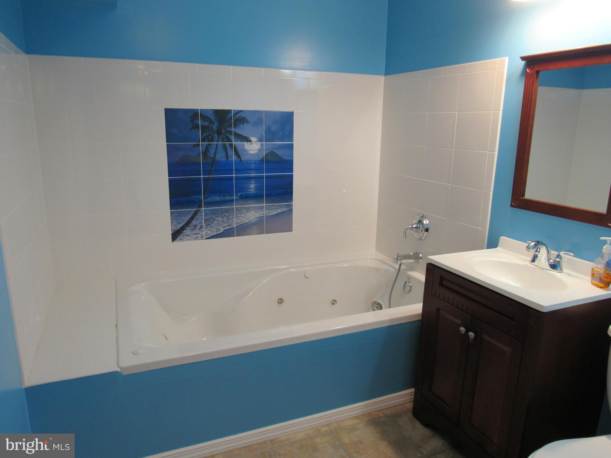 10107 Day Avenue Silver Spring, MD 20910 - Photo 20 of 30 Bath