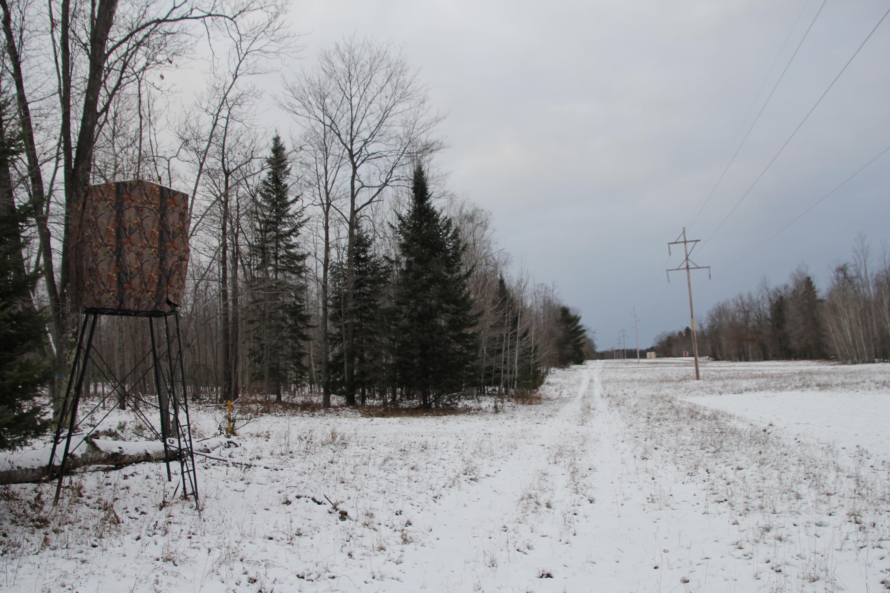 North Taylor Road Lincoln, MI 48742 - Photo 18 of 35 Gallery Image 18