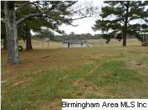 4531 County Road 633 Clanton, AL 35045 - Photo 10 of 11