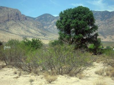 0 East Sulphur Canyon Road San Simon, AZ 85632 - Photo 3 of 8