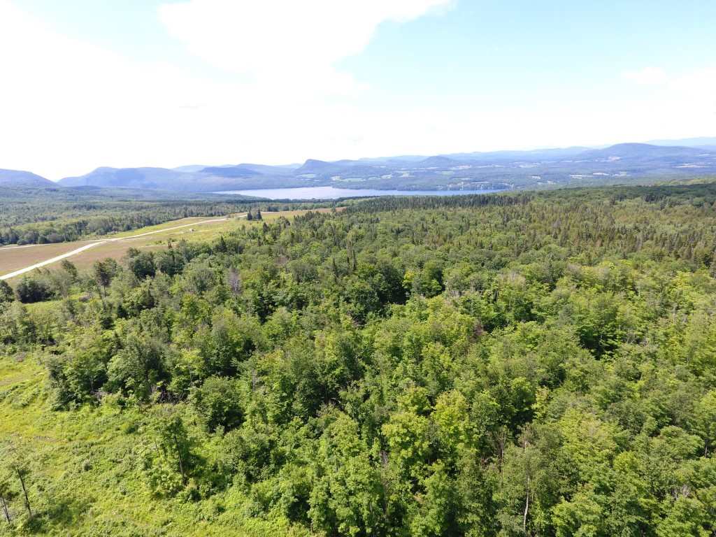 2195 Hinton Hill Road Westmore, VT 05860 - Photo 1 of 10 Gallery Image 1
