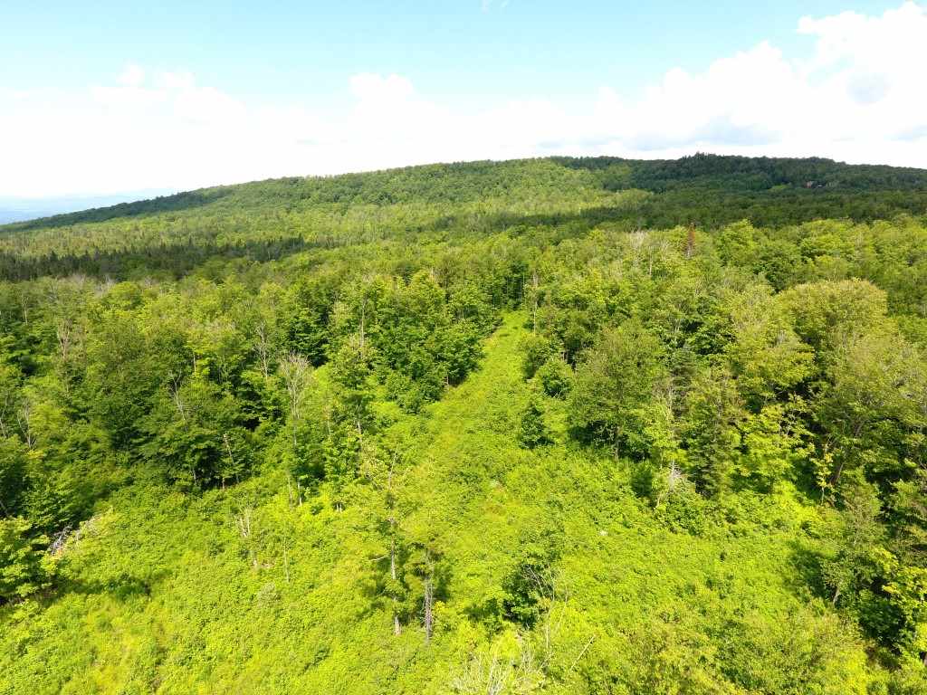 2195 Hinton Hill Road Westmore, VT 05860 - Photo 3 of 10 Gallery Image 3