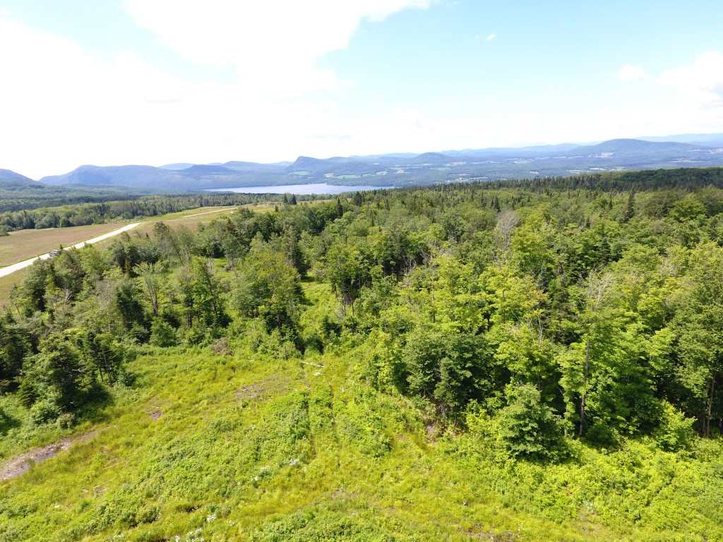 2195 Hinton Hill Road Westmore, VT 05860 - Photo 6 of 10 Gallery Image 6