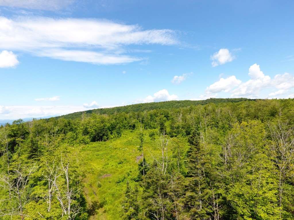 2195 Hinton Hill Road Westmore, VT 05860 - Photo 7 of 10 Gallery Image 7