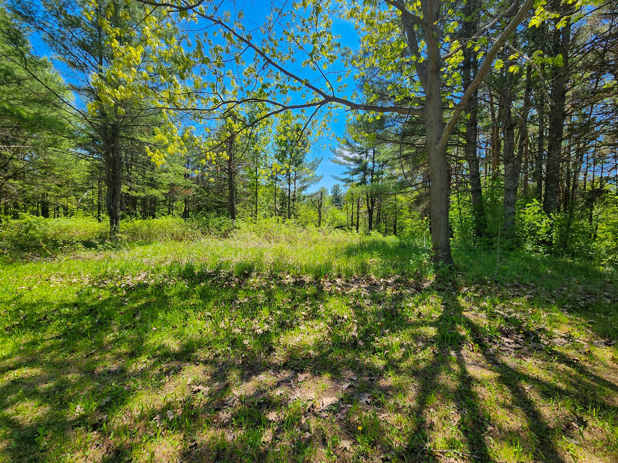 1202 Rivers Ridge Court Cheboygan, MI 49721 - Photo 4 of 9 Gallery Image 4