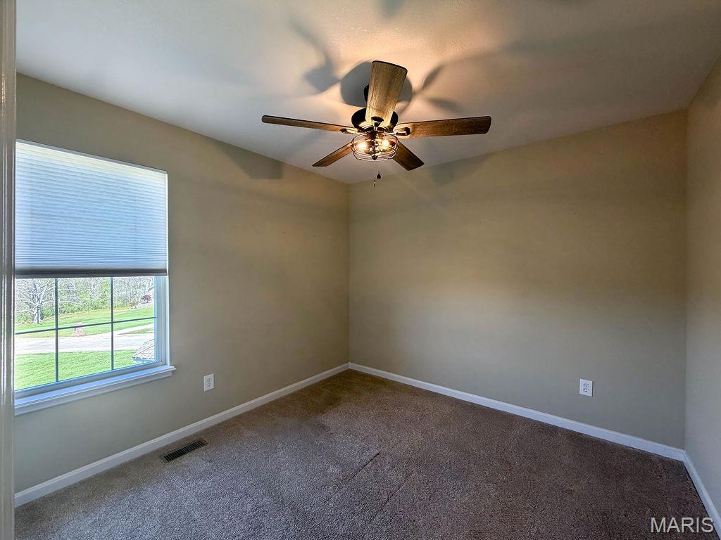 3533 State Rd Z Hillsboro, MO 63050 - Photo 22 of 56