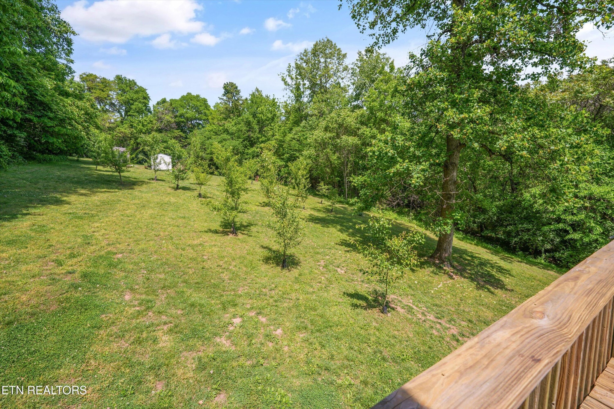 6325 Norwood Road Knoxville, TN 37914 - Photo 52 of 59