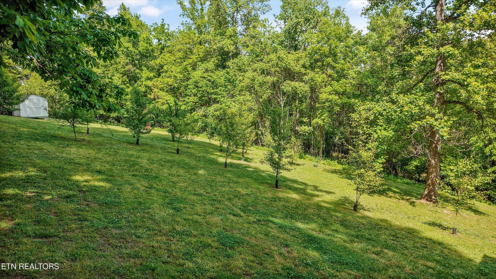 6325 Norwood Road Knoxville, TN 37914 - Photo 53 of 59
