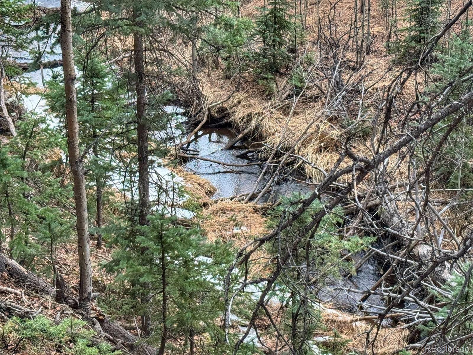 132 Aspen Acres Rye, CO 81069 - Photo 1 of 14