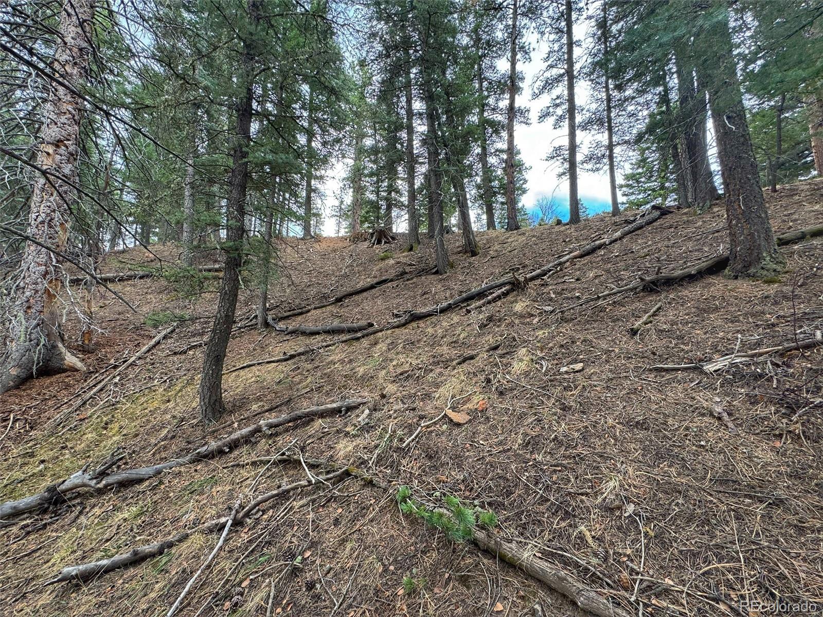 132 Aspen Acres Rye, CO 81069 - Photo 11 of 14