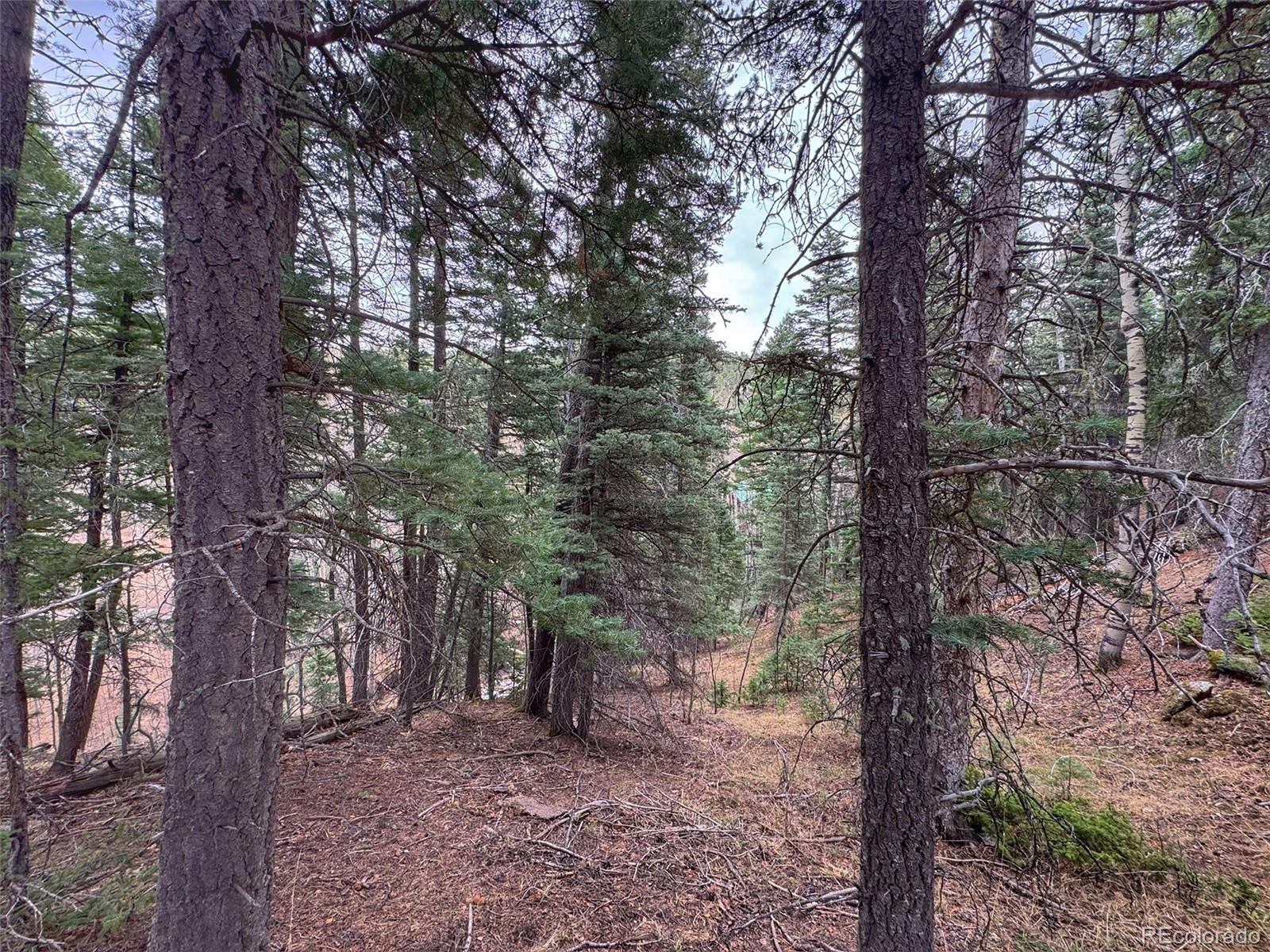 132 Aspen Acres Rye, CO 81069 - Photo 12 of 14