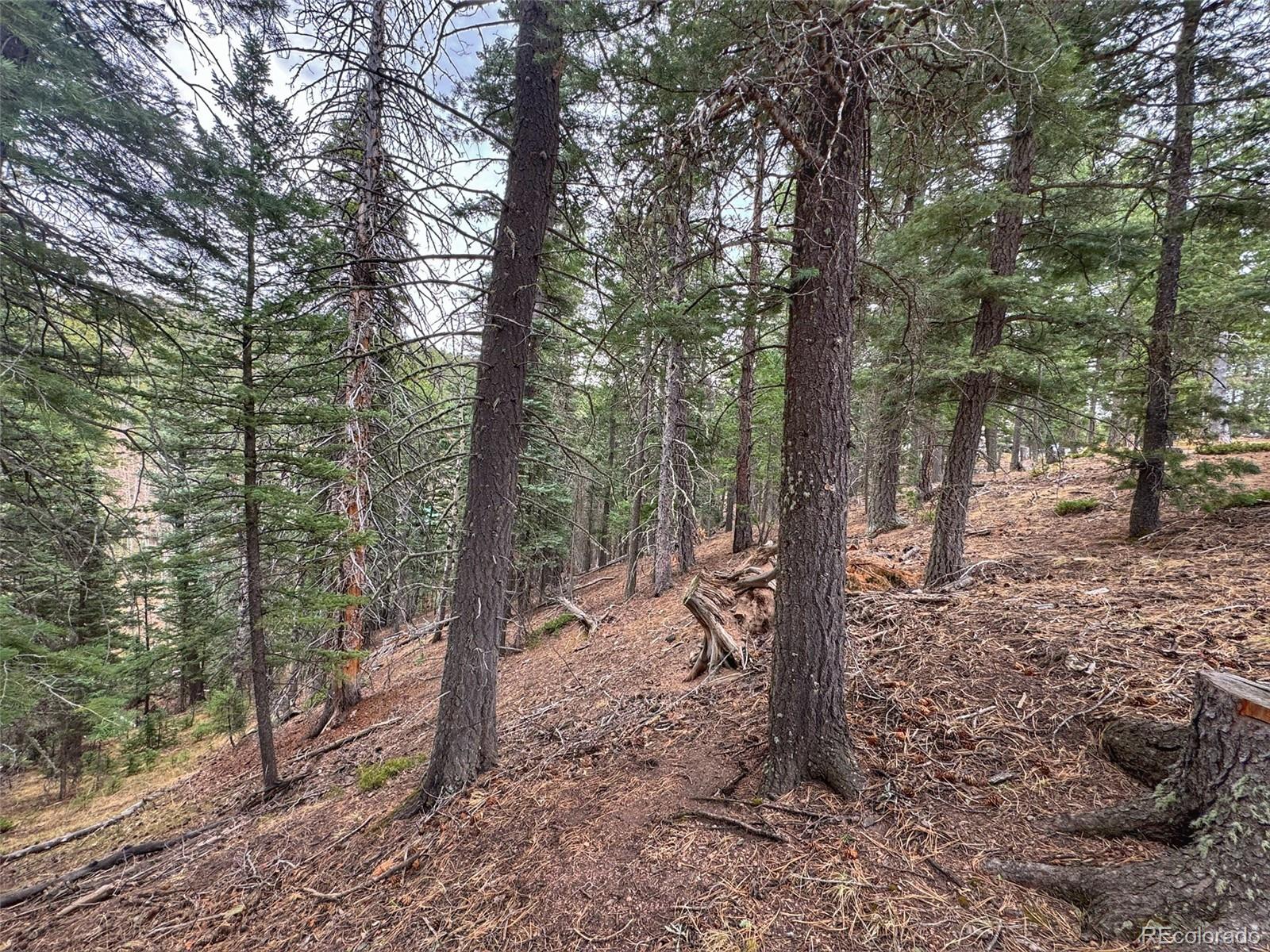 132 Aspen Acres Rye, CO 81069 - Photo 13 of 14