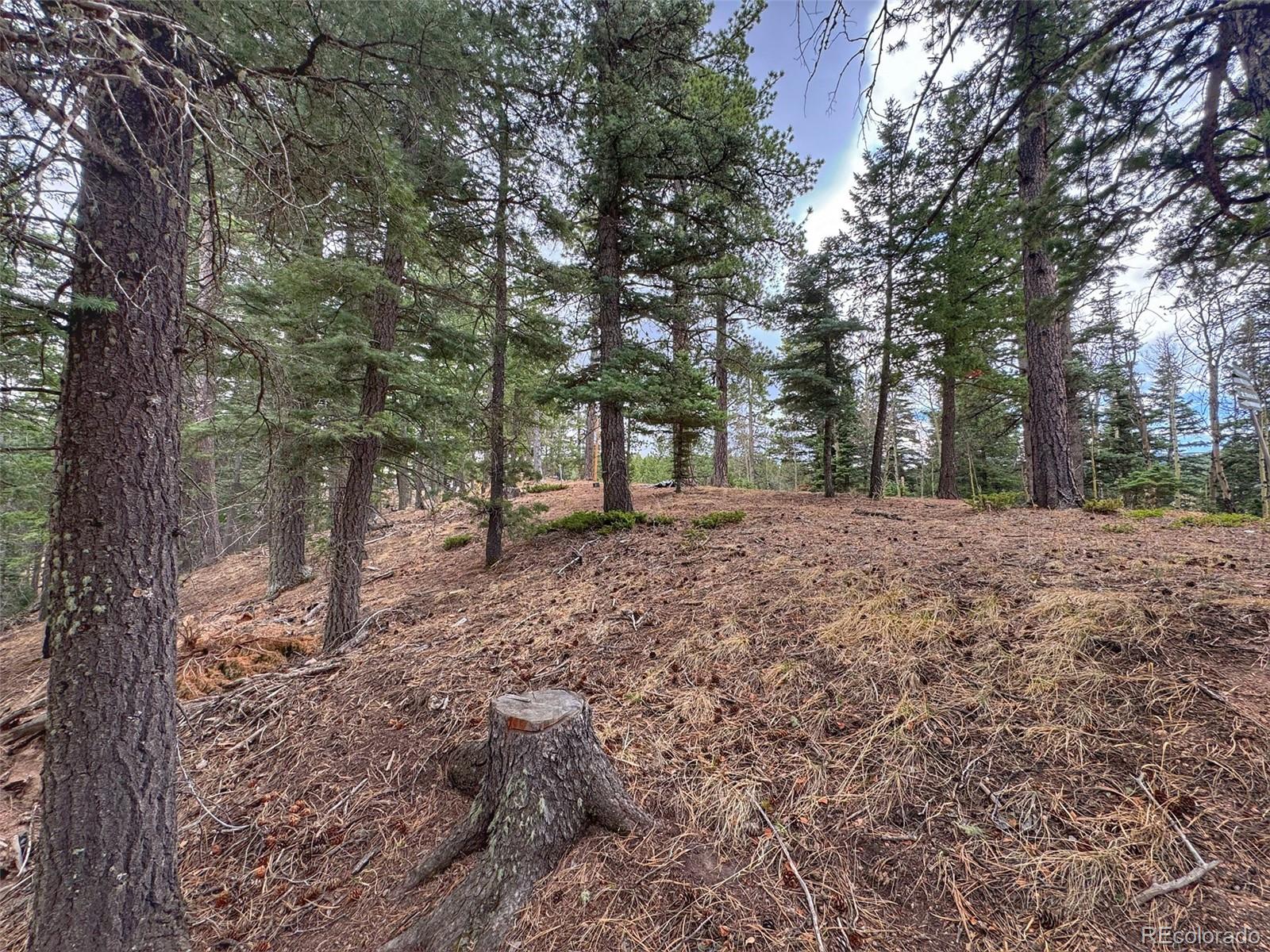 132 Aspen Acres Rye, CO 81069 - Photo 14 of 14