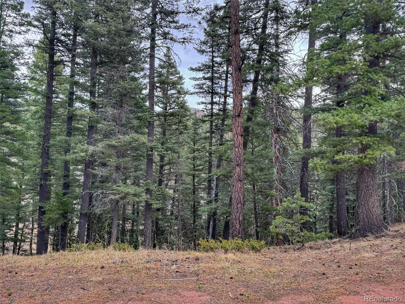 132 Aspen Acres Rye, CO 81069 - Photo 3 of 14