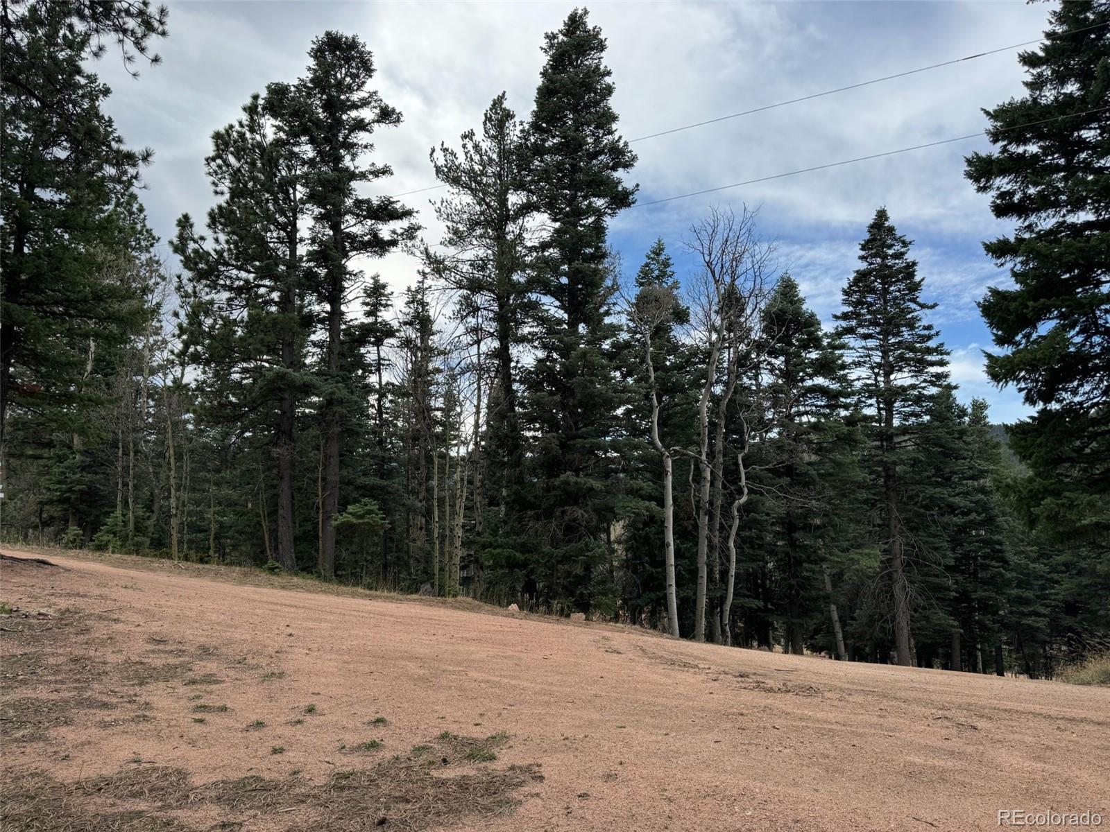 132 Aspen Acres Rye, CO 81069 - Photo 4 of 14