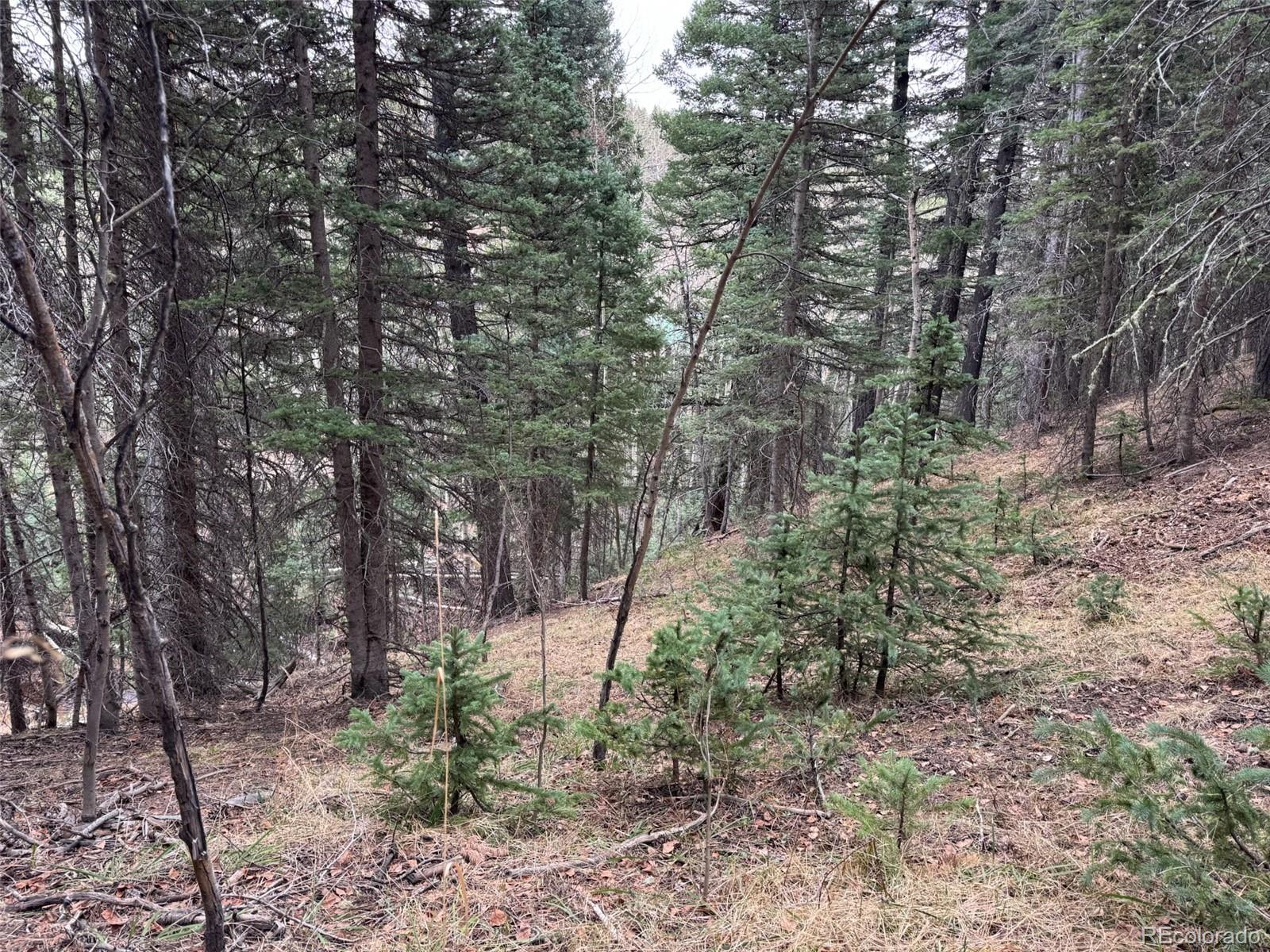 132 Aspen Acres Rye, CO 81069 - Photo 5 of 14