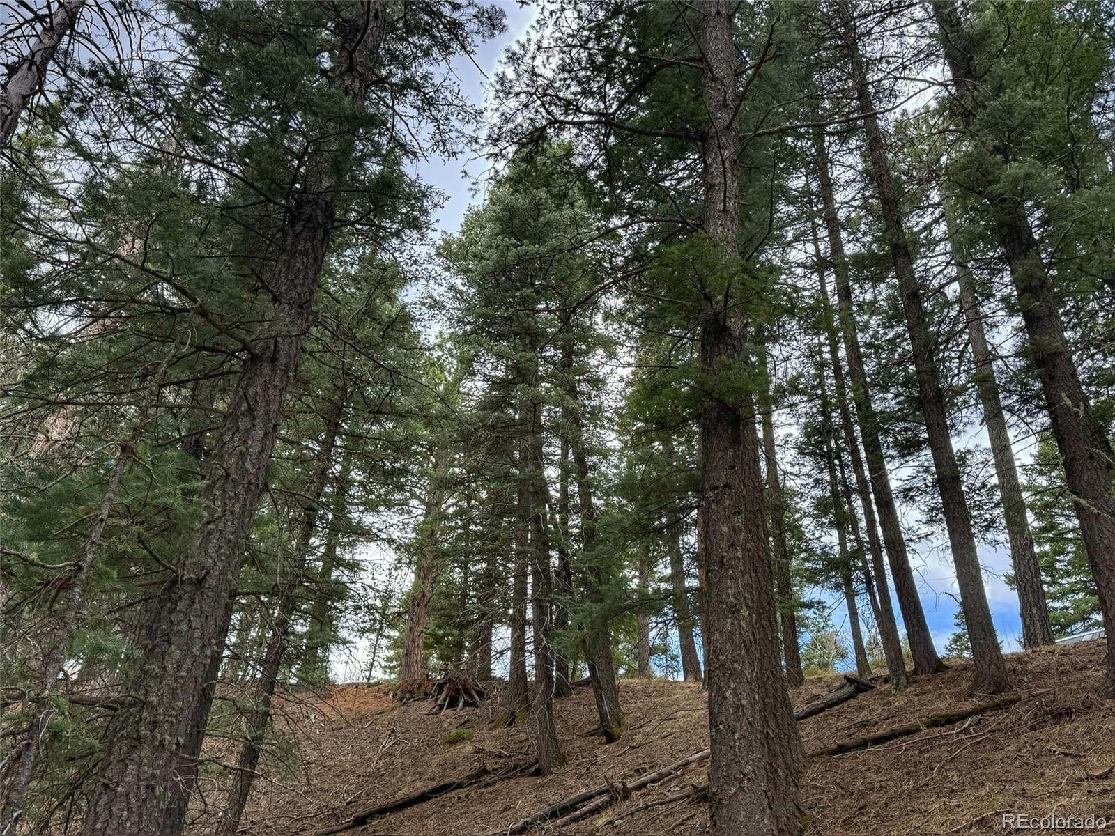 132 Aspen Acres Rye, CO 81069 - Photo 6 of 14