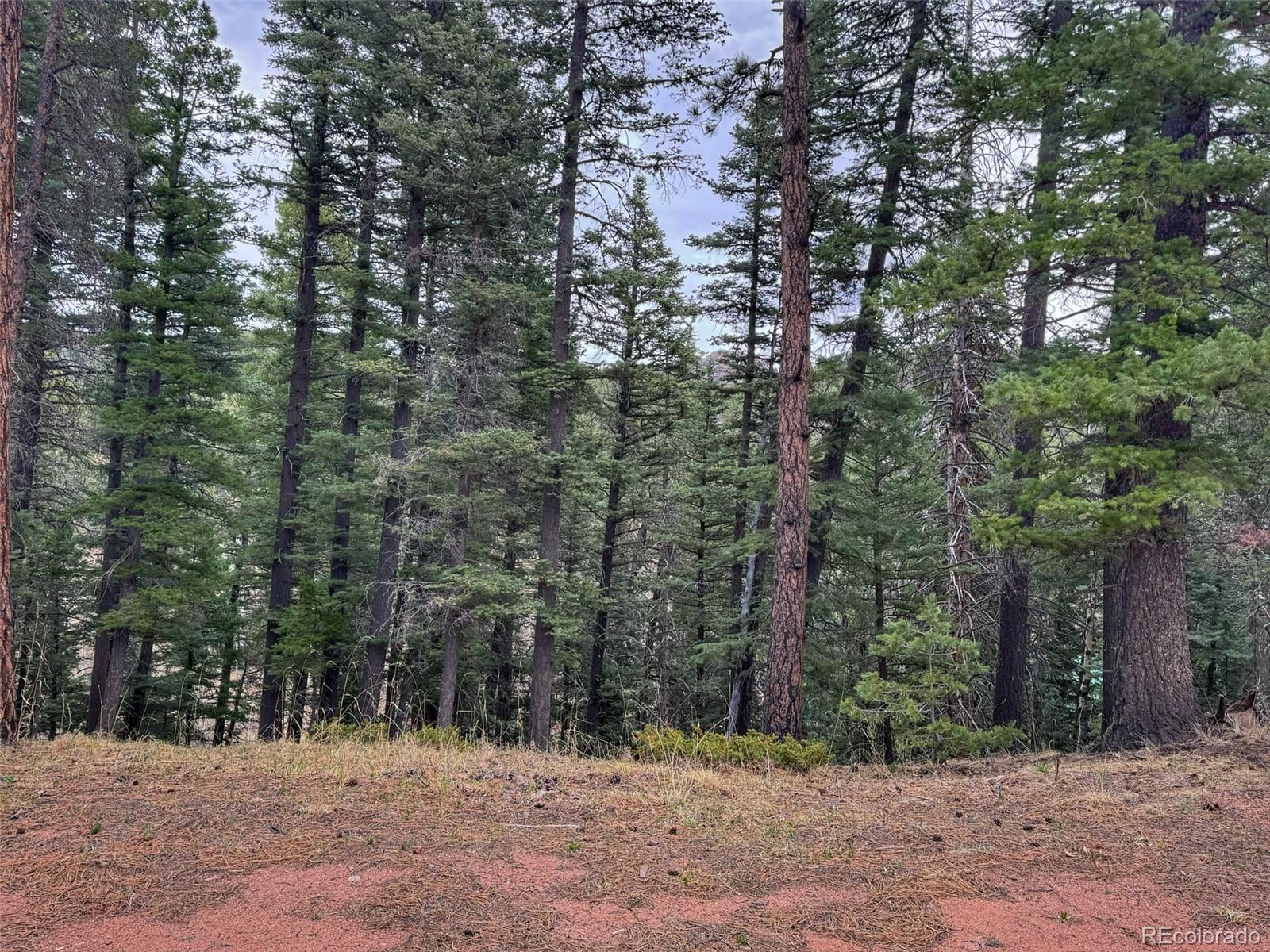 132 Aspen Acres Rye, CO 81069 - Photo 7 of 14