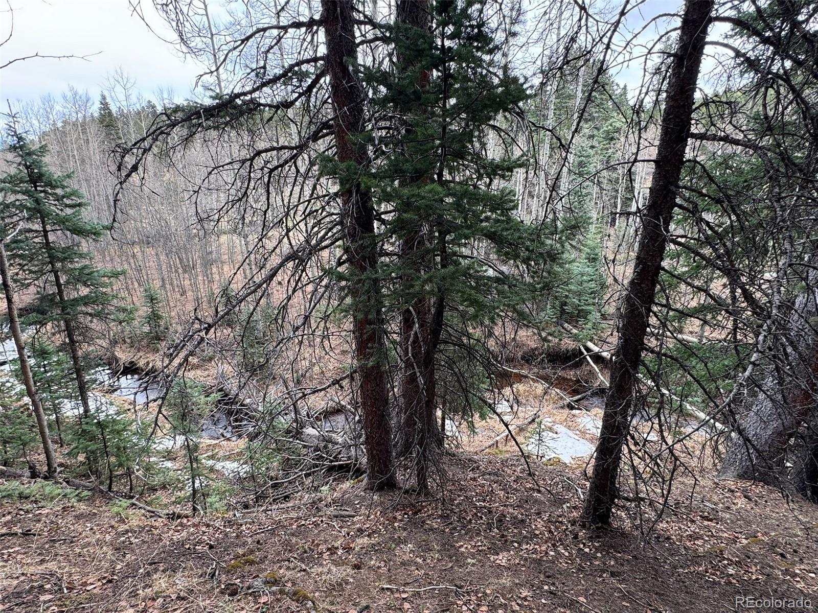 132 Aspen Acres Rye, CO 81069 - Photo 8 of 14