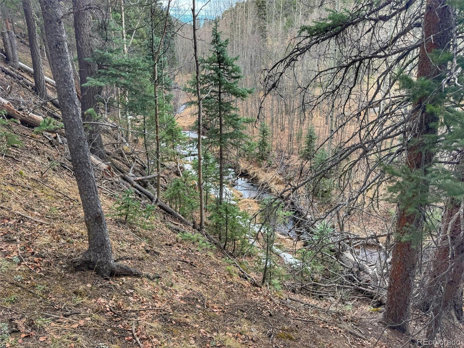 132 Aspen Acres Rye, CO 81069 - Photo 9 of 14