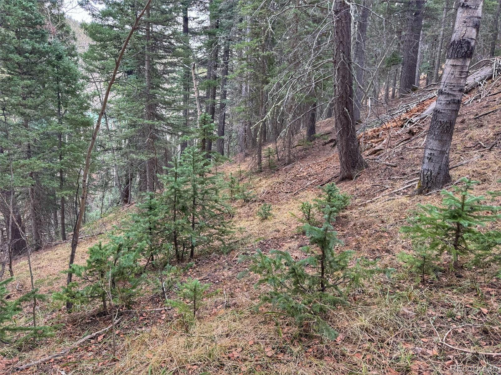 132 Aspen Acres Rye, CO 81069 - Photo 10 of 14