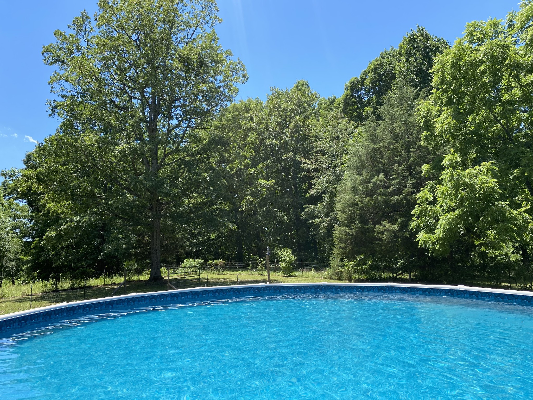 769 Nancy Shawl Road Dickson, TN 37055 - Photo 12 of 54 Gallery Image 12