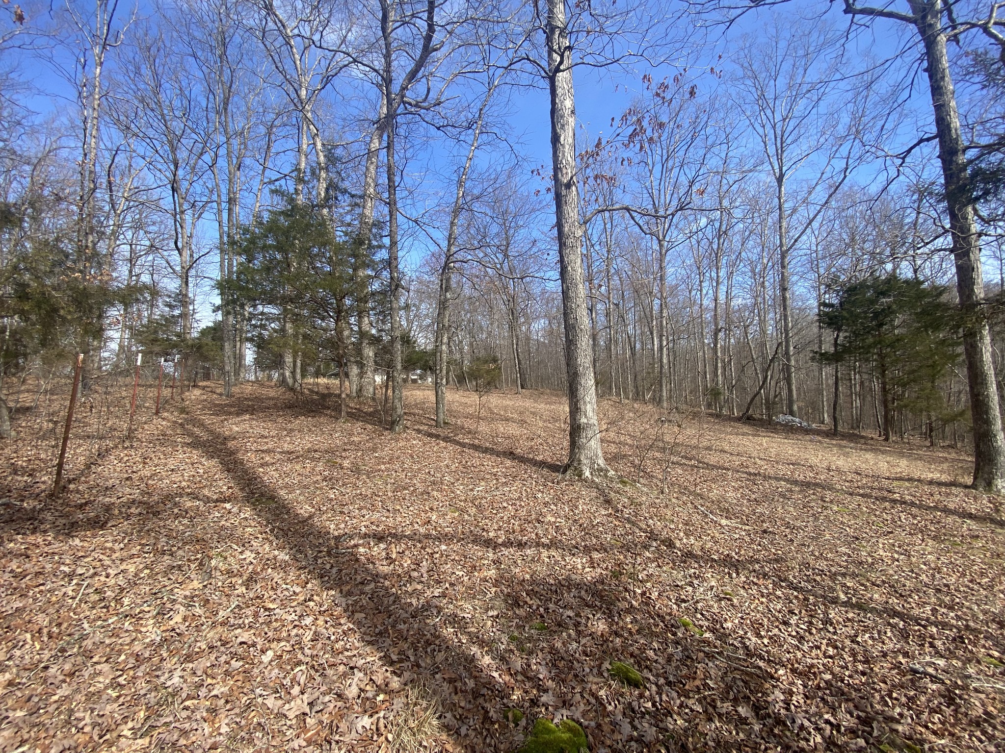 769 Nancy Shawl Road Dickson, TN 37055 - Photo 42 of 54 Gallery Image 42
