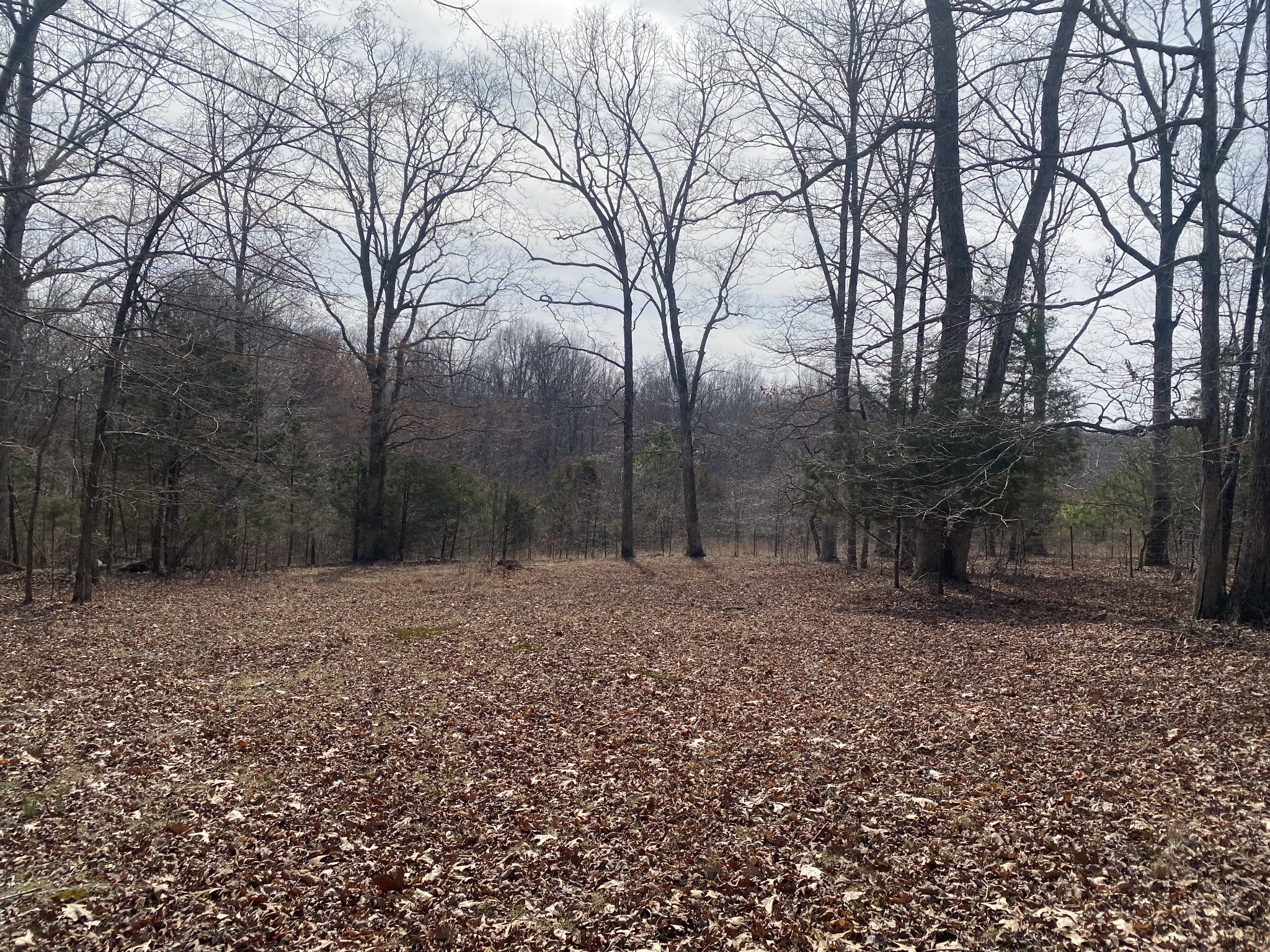 769 Nancy Shawl Road Dickson, TN 37055 - Photo 43 of 54 Gallery Image 43