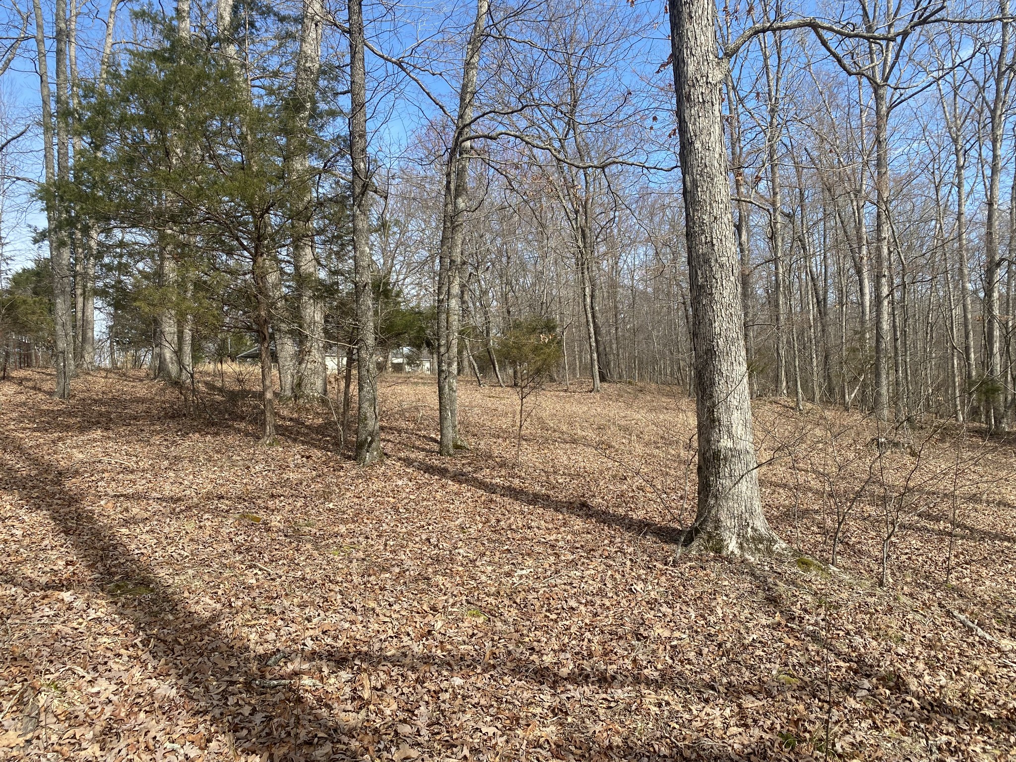 769 Nancy Shawl Road Dickson, TN 37055 - Photo 45 of 54 Gallery Image 45