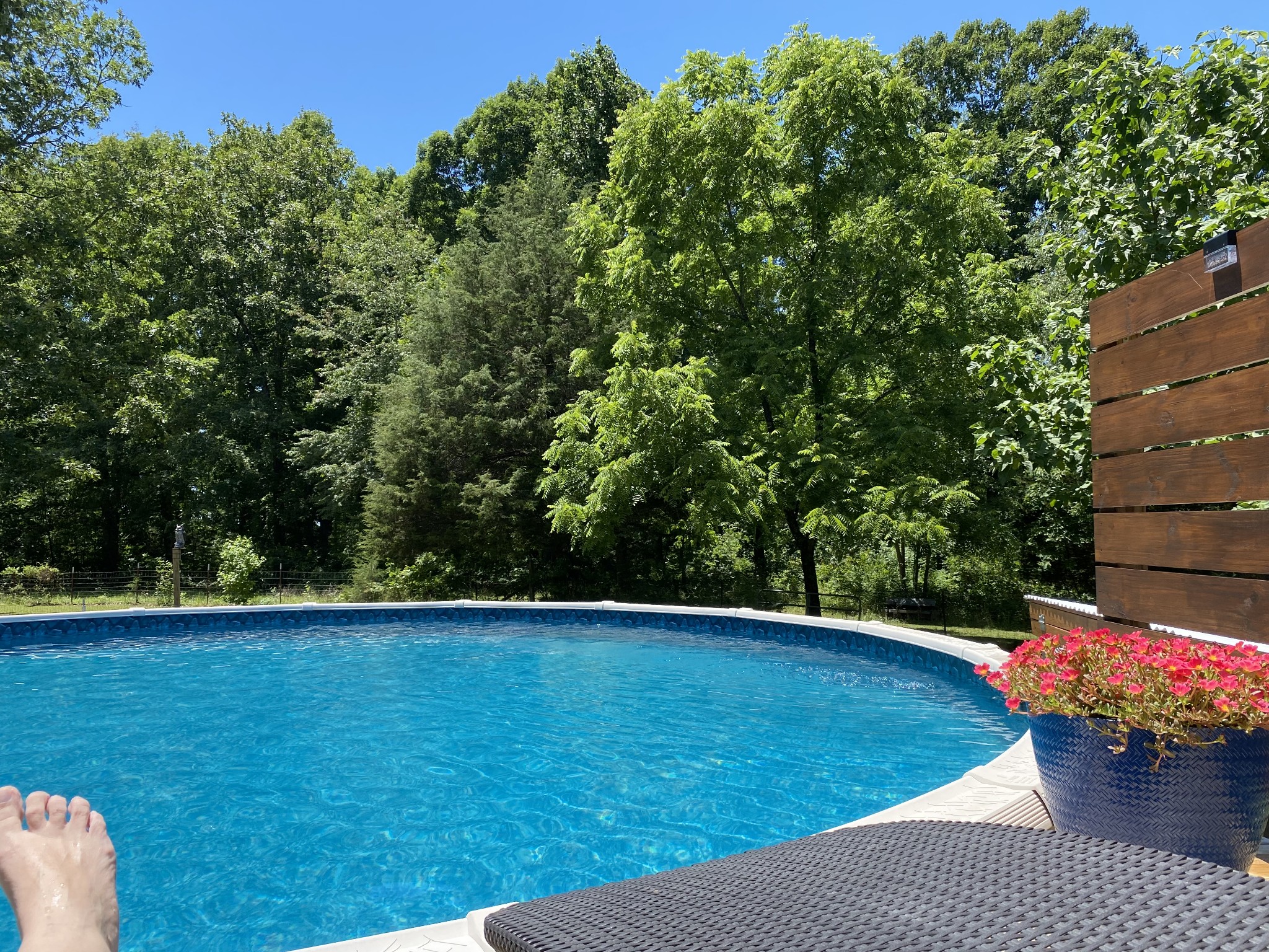 769 Nancy Shawl Road Dickson, TN 37055 - Photo 8 of 54 Gallery Image 8