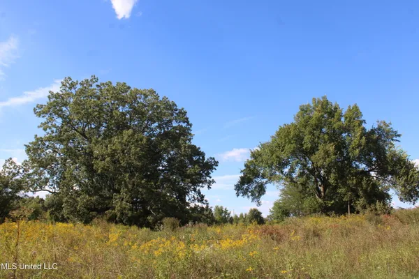 $1,343,000 | 5300 Desoto Road, Walls, MS 38680