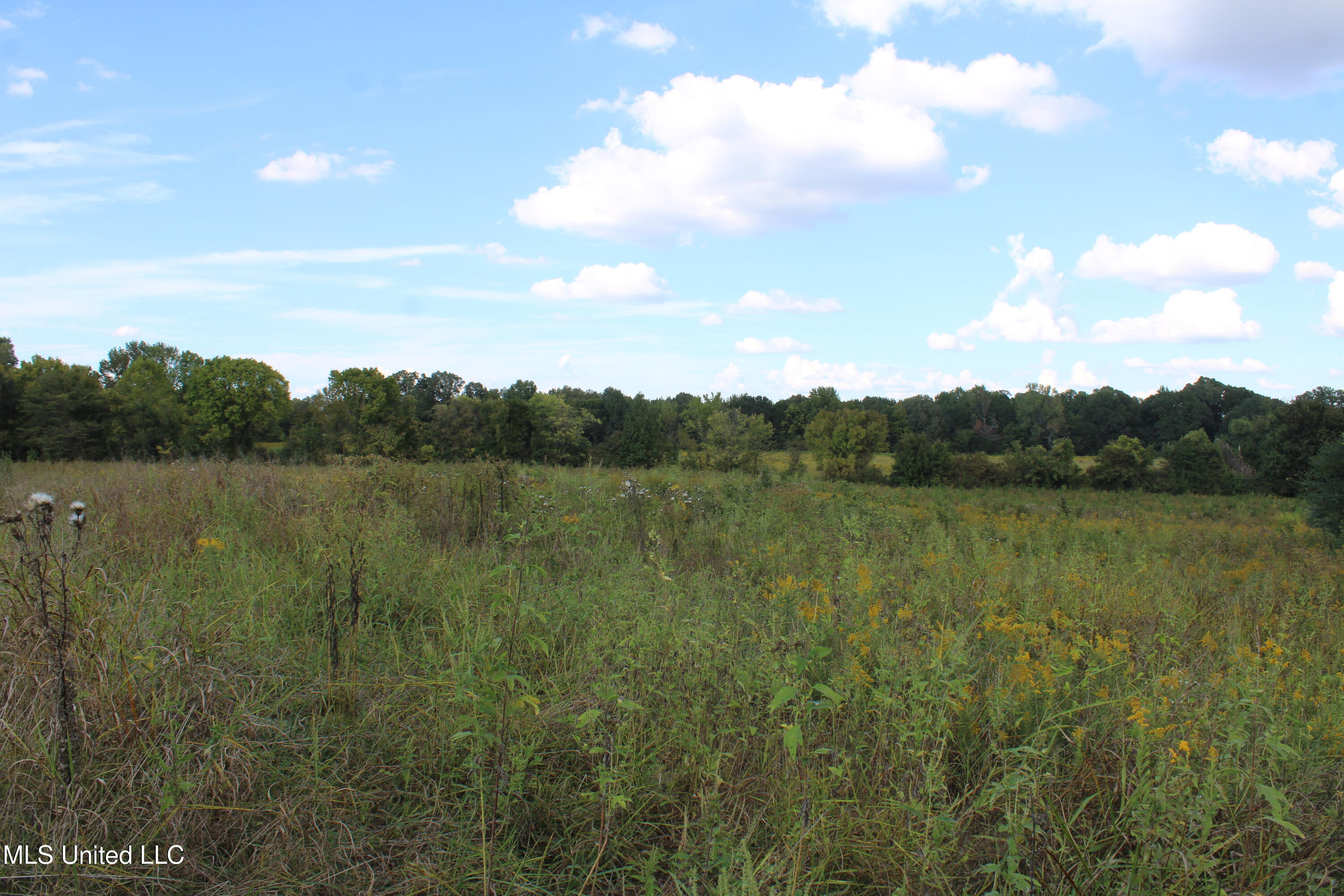 5300 Desoto Road Walls, MS 38680 - Photo 11 of 27 IMG_6731