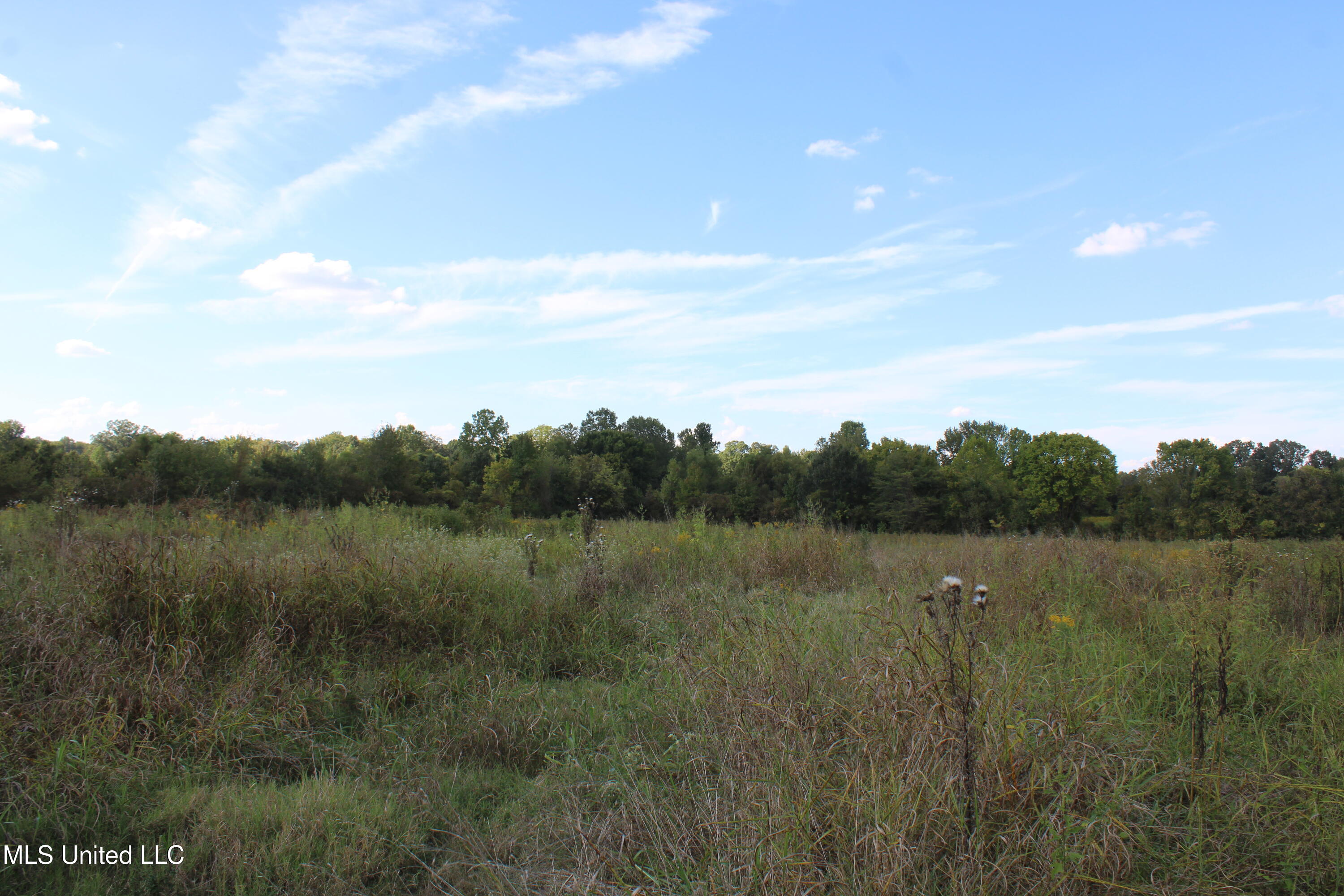 5300 Desoto Road Walls, MS 38680 - Photo 12 of 27 IMG_6732