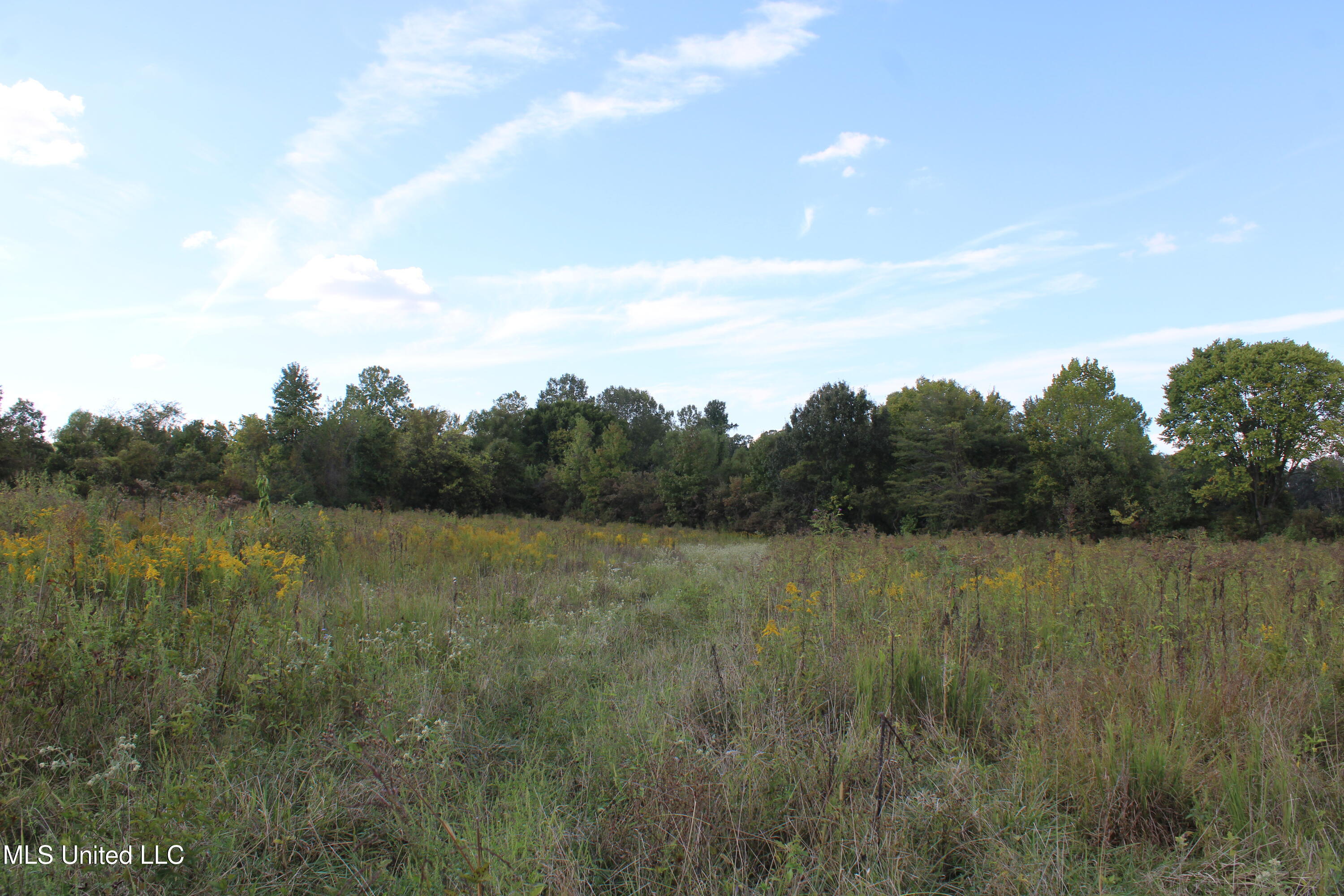 5300 Desoto Road Walls, MS 38680 - Photo 13 of 27 IMG_6733