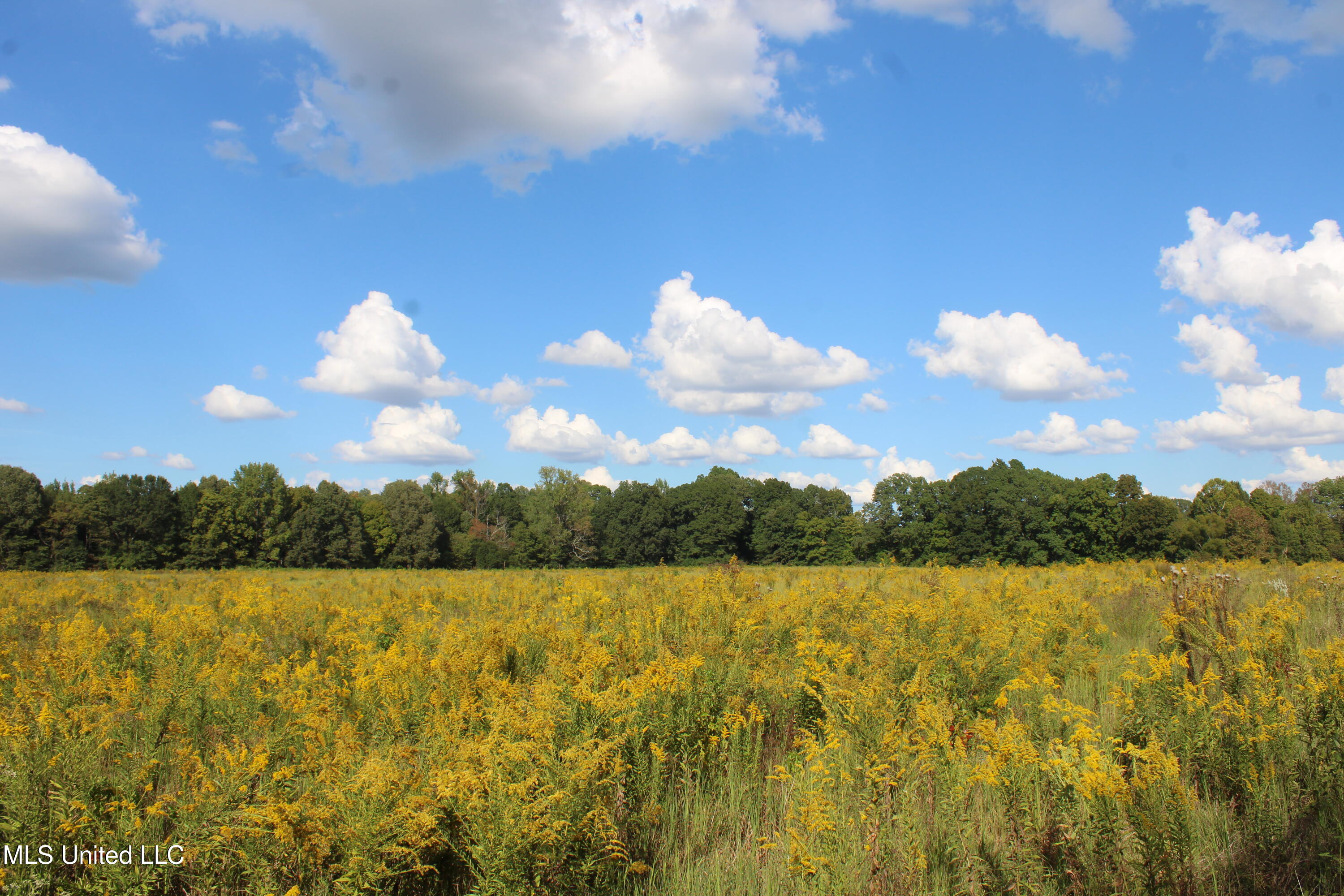 5300 Desoto Road Walls, MS 38680 - Photo 15 of 27 IMG_6735