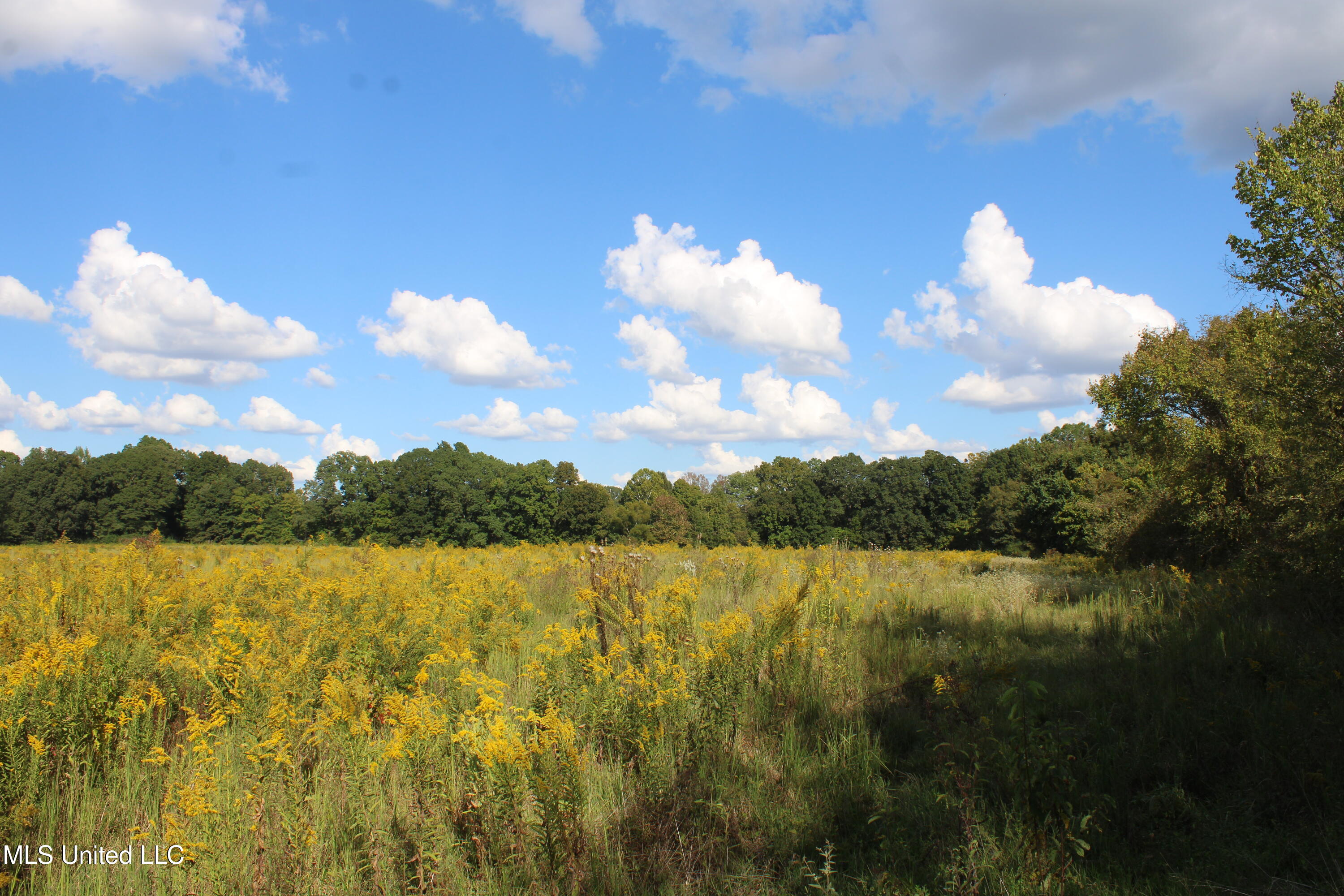 5300 Desoto Road Walls, MS 38680 - Photo 16 of 27 IMG_6736