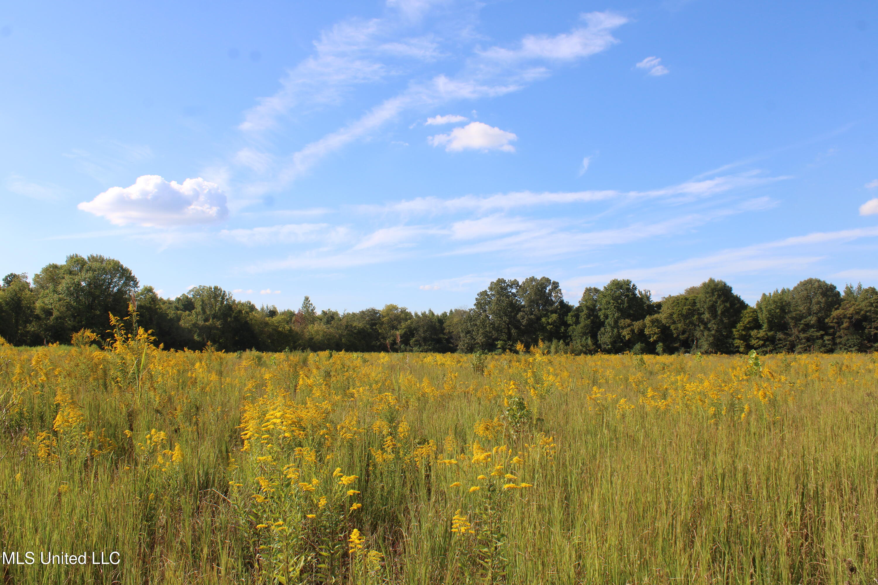 5300 Desoto Road Walls, MS 38680 - Photo 17 of 27 IMG_6737