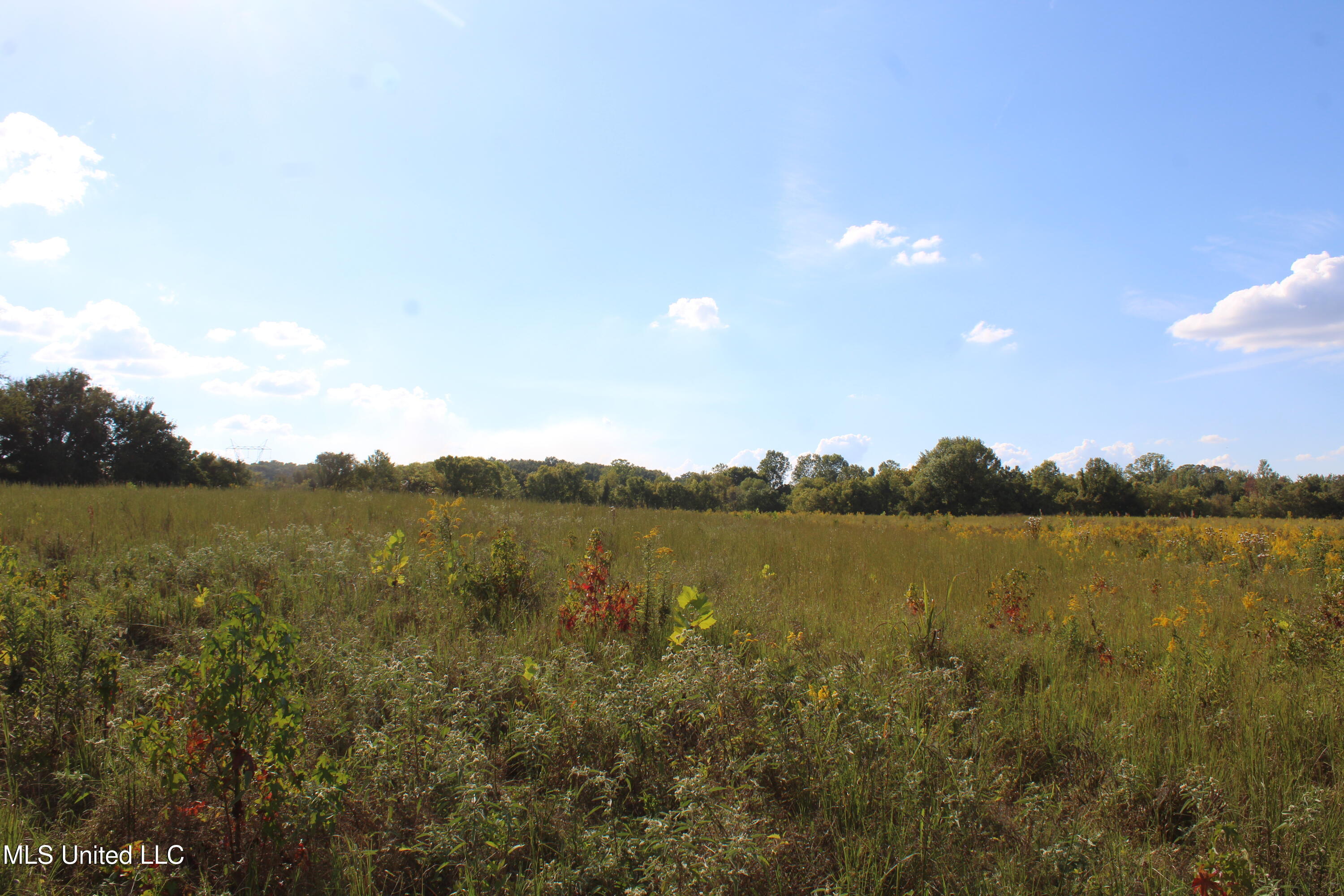 5300 Desoto Road Walls, MS 38680 - Photo 18 of 27 IMG_6738